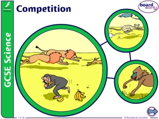 What is competition?