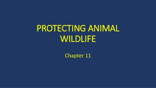 PROTECTING ANIMAL WILDLIFE