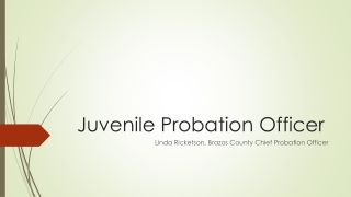 Juvenile Probation Officer