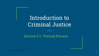 Introduction to Criminal Justice