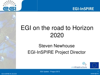 EGI on the road to Horizon 2020