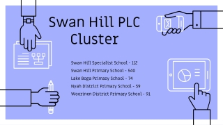 Swan Hill PLC Cluster