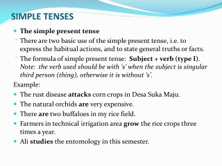 SIMPLE TENSES