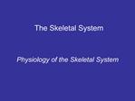 The Skeletal System