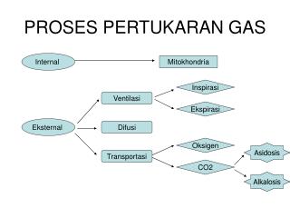 PROSES PERTUKARAN GAS