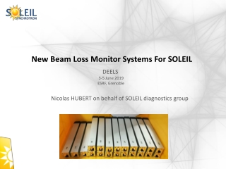 New Beam Loss Monitor Systems For SOLEIL