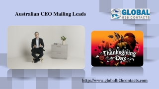 Australian CEO Mailing Leads