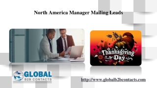 North America Manager Mailing Leads