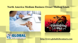 North America Medium Business Owner Mailing Leads