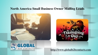 North America Small Business Owner Mailing Leads