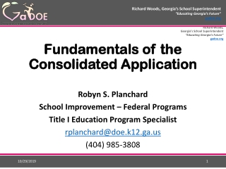 Fundamentals of the Consolidated Application