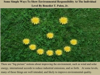 Some Simple Ways To Show Environmental Responsibility At The Individual Level By Benedict T. Palen, Jr.