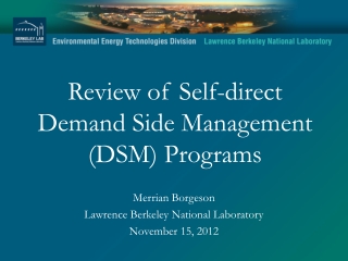 Review of Self-direct Demand Side Management (DSM) Programs