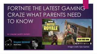 Fortnite the latest gaming craze What Parents need to know