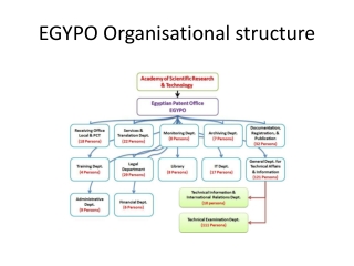 EGYPO Organisational structure