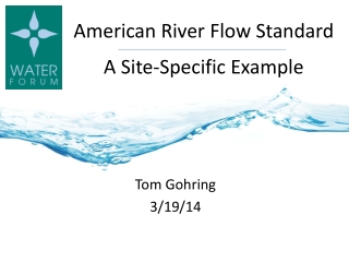 American River Flow Standard A Site-Specific Example