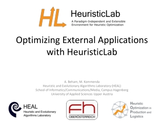 Optimizing External Applications with HeuristicLab