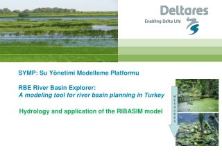 Hydrology and application of the RIBASIM model