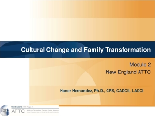 Cultural Change and Family Transformation