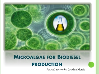 Microalgae for Biodiesel production