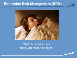 Enterprise Risk Management (ERM)