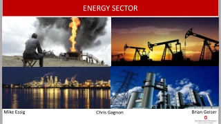 ENERGY SECTOR