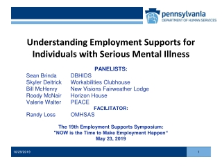 Understanding Employment Supports for Individuals with Serious Mental Illness