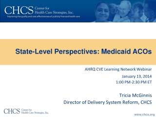 AHRQ CVE Learning Network Webinar January 13, 2014 1:00 PM-2:30 PM ET Tricia McGinnis