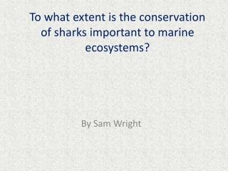 To what extent is the conservation of sharks important to marine ecosystems?