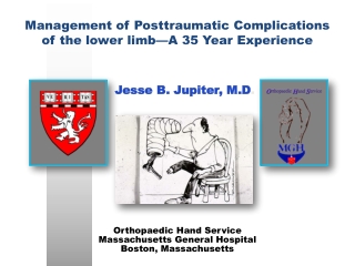 Management of Posttraumatic Complications of the lower limb—A 35 Year Experience