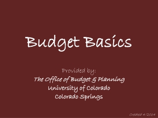 Budget Basics