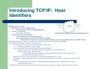 Introducing TCP/IP: Host Identifiers