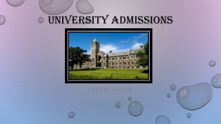 University Admissions