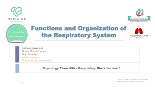 Functions and Organization of the Respiratory System