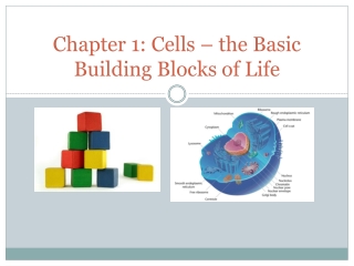 Chapter 1: Cells – the Basic Building Blocks of Life