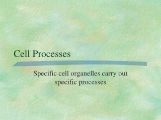 Cell Processes