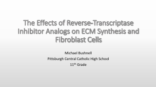 The Effects of Reverse-Transcriptase Inhibitor Analogs on ECM Synthesis and Fibroblast Cells