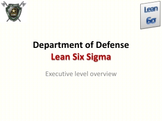 Department of Defense Lean Six Sigma