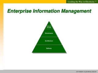 Enterprise Information Management