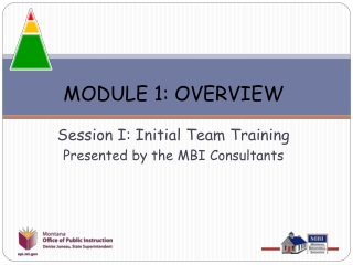 MODULE 1: OVERVIEW
