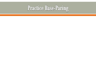 Practice Base-Paring