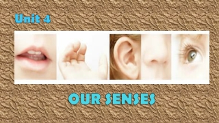 OUR SENSES