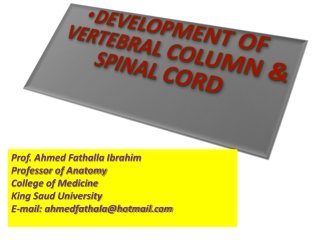 DEVELOPMENT OF VERTEBRAL COLUMN &amp; SPINAL CORD
