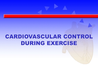 CARDIOVASCULAR CONTROL DURING EXERCISE