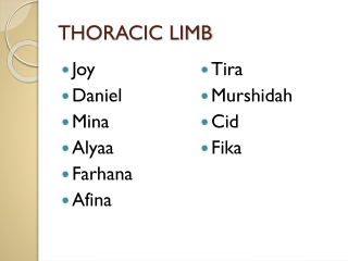 THORACIC LIMB