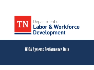 WIOA Systems Performance Data