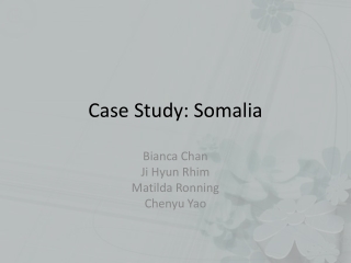 Case Study: Somalia