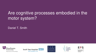 Are cognitive processes embodied in the motor system?