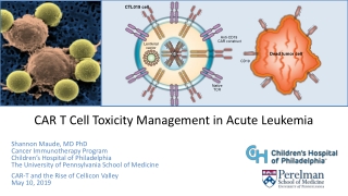 Cellular Immunotherapy with CAR T cells Engineering