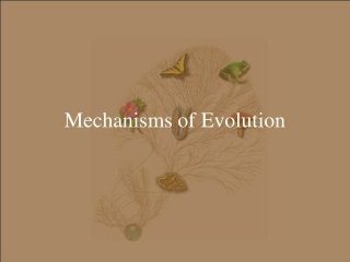 Mechanisms of Evolution